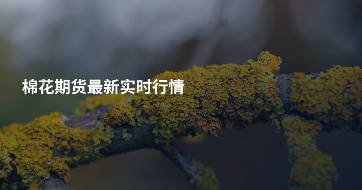棉花期货最新实时行情