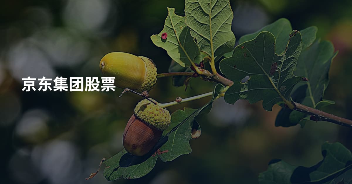 京东集团股票