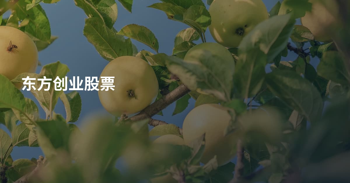 东方创业股票