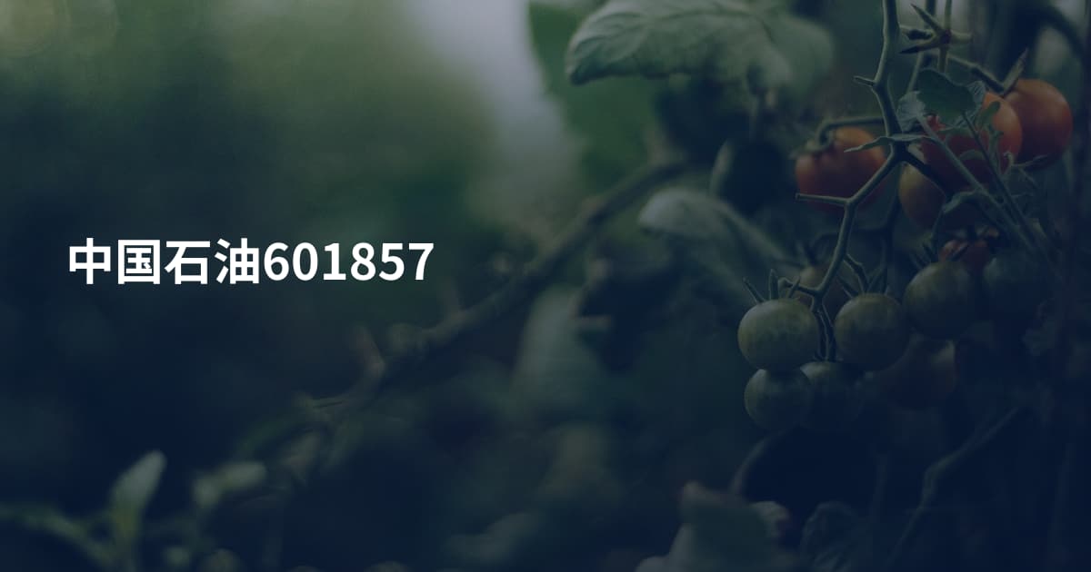 中国石油601857