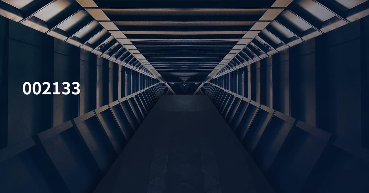 002133