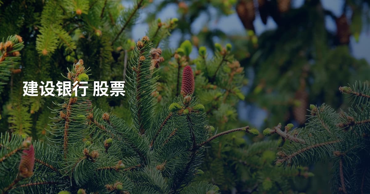 建设银行 股票