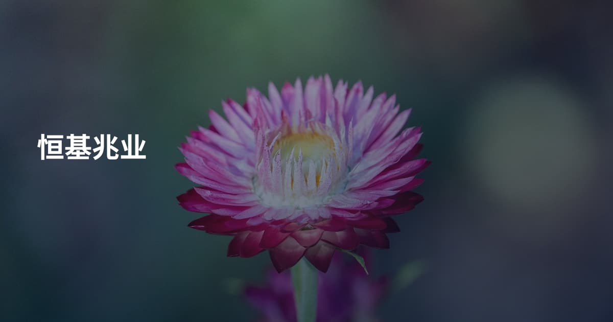 恒基兆业