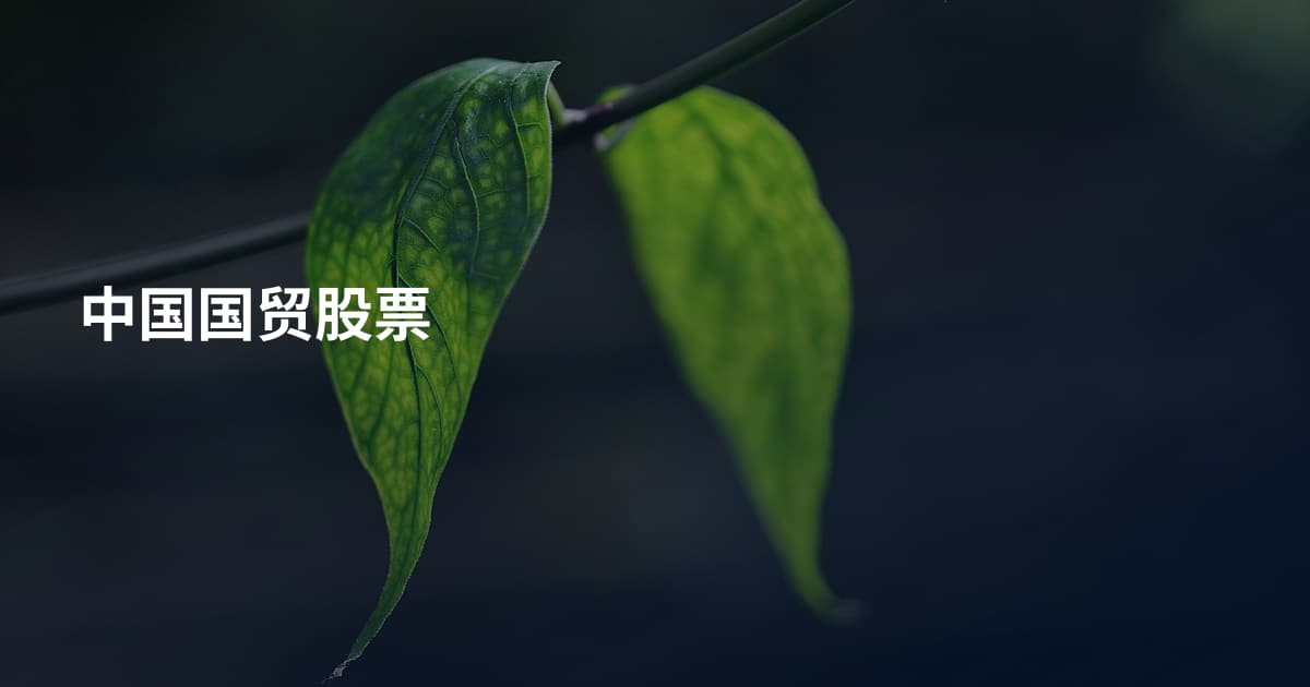 中国国贸股票