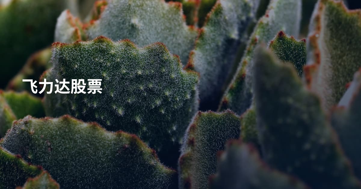 飞力达股票