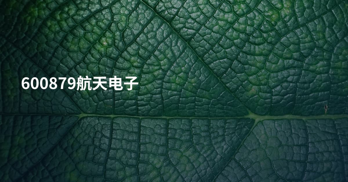 600879航天电子