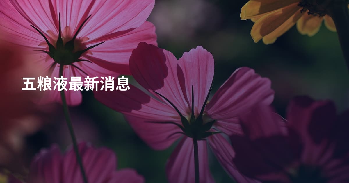五粮液最新消息