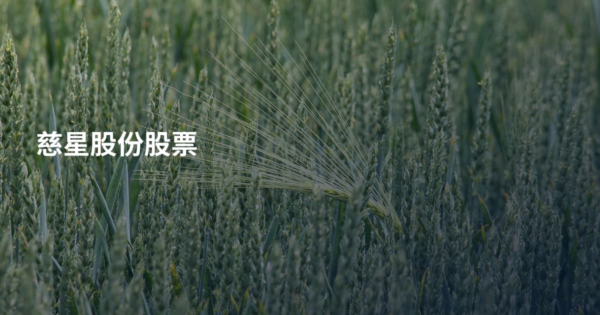 慈星股份股票