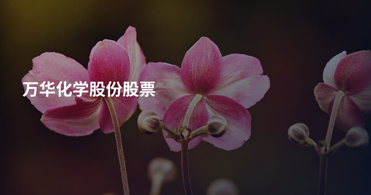 万华化学股份股票