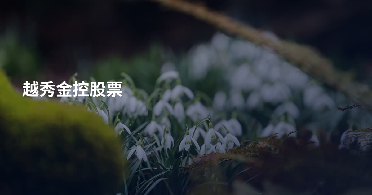 越秀金控股票