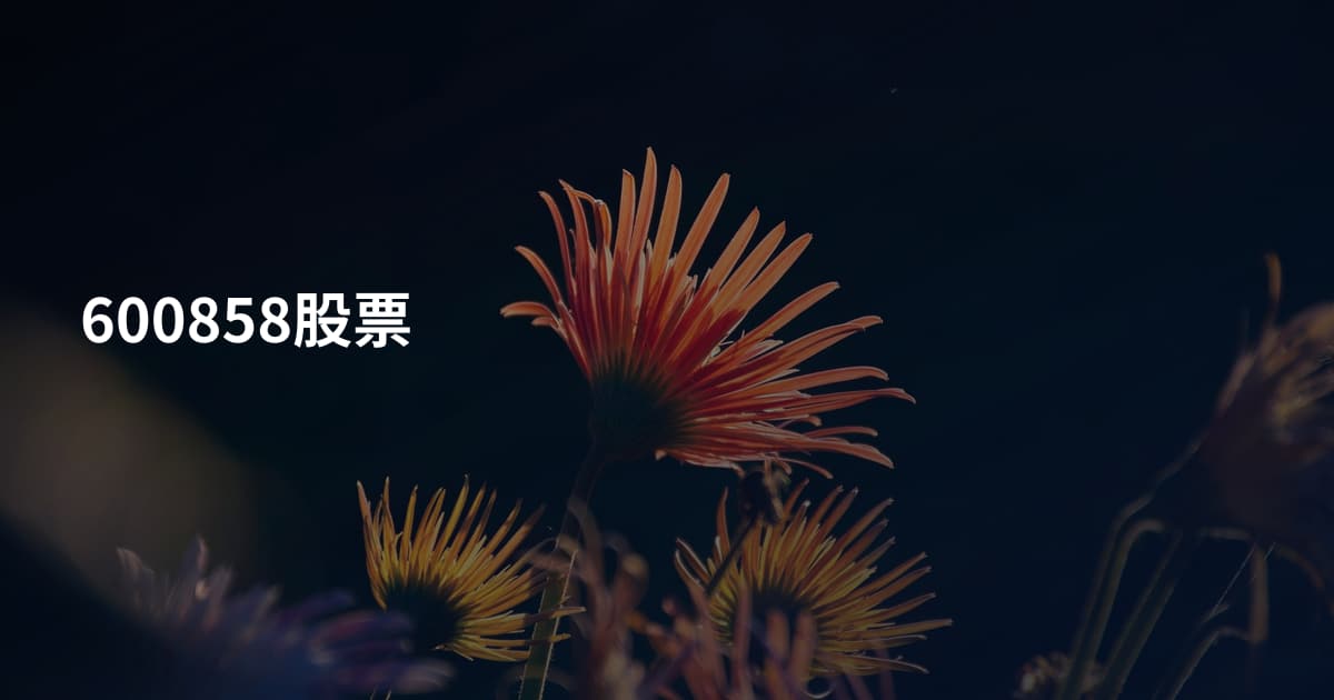 600858股票