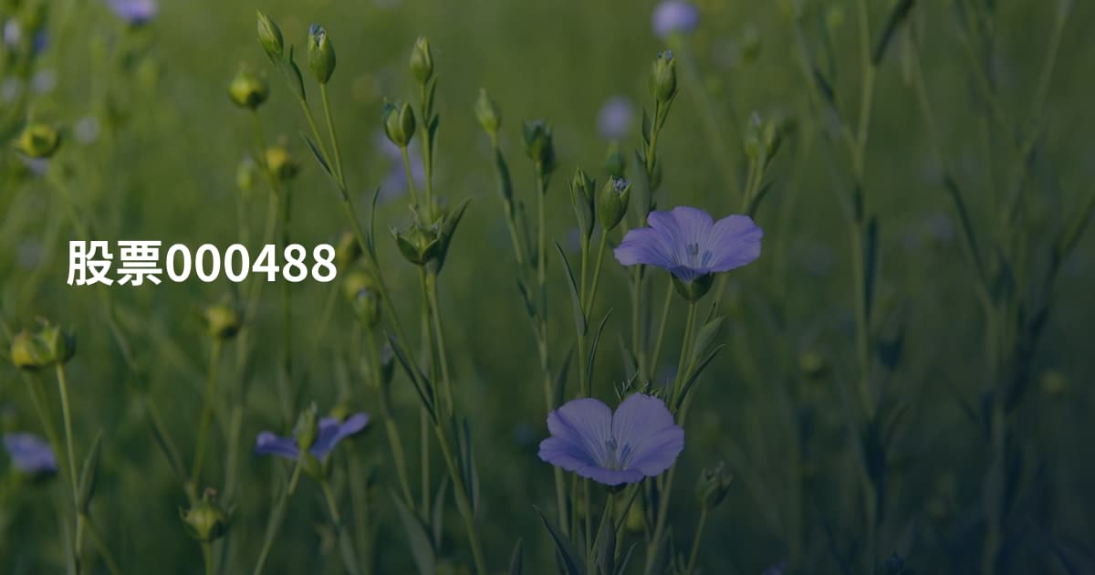 股票000488