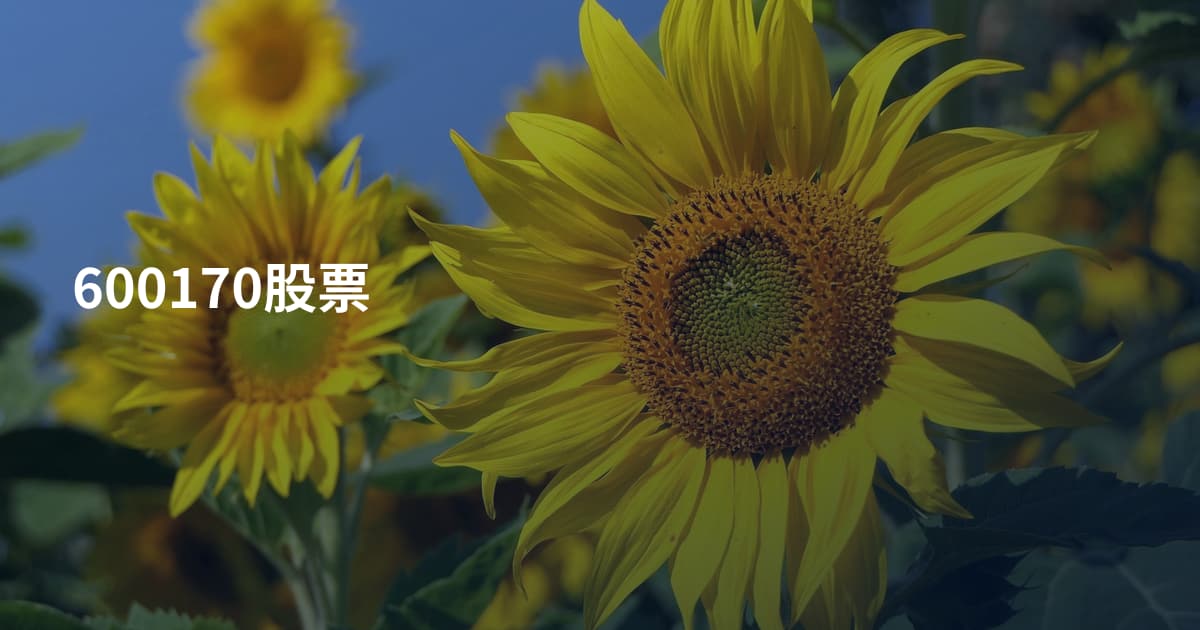 600170股票