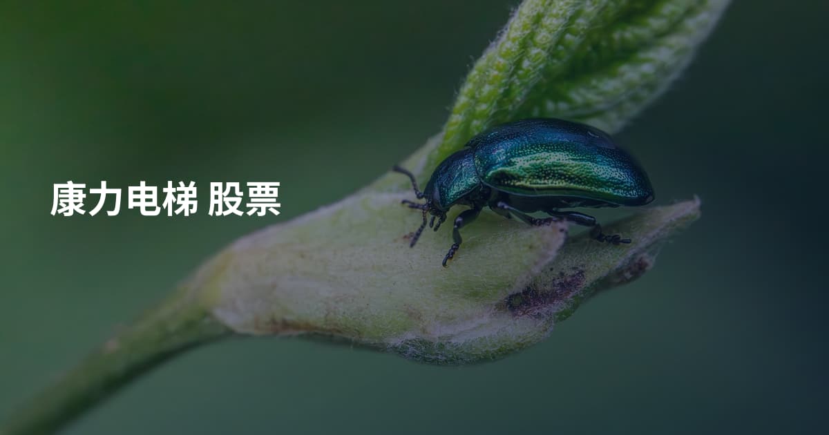 康力电梯 股票