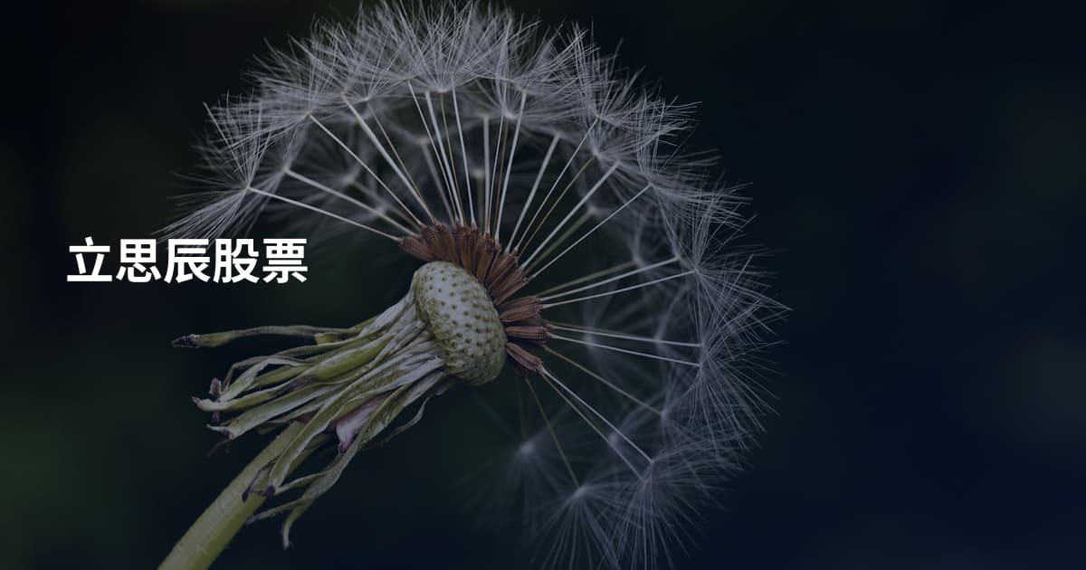 立思辰股票