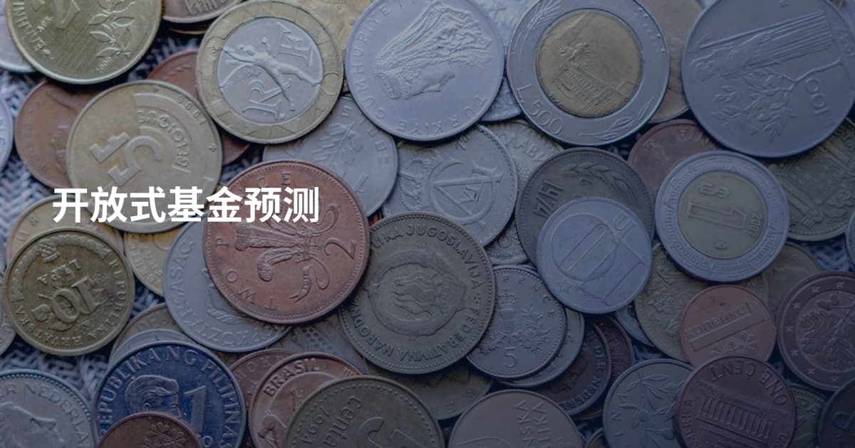 开放式基金预测