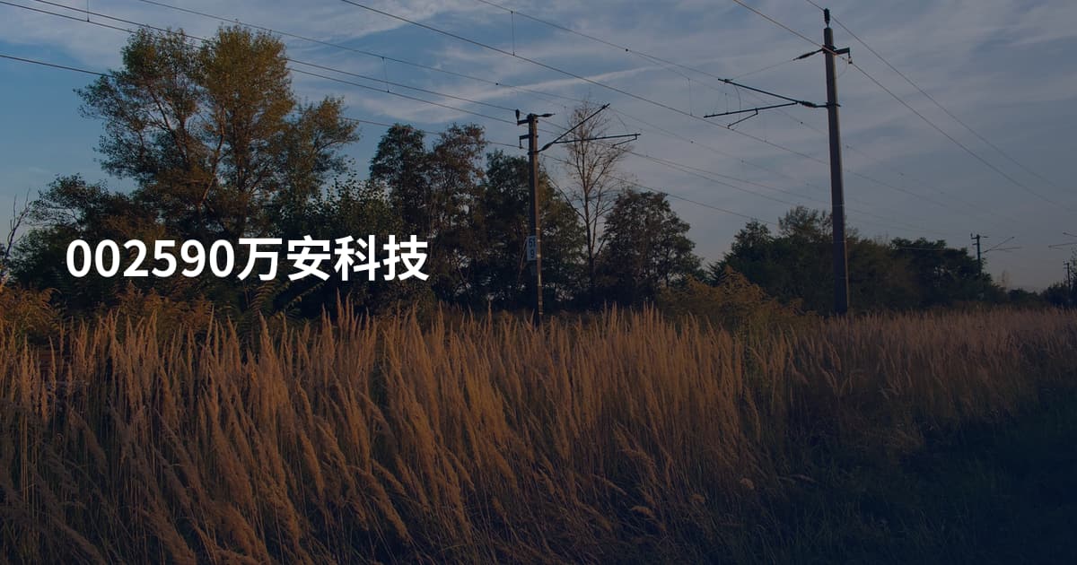 002590万安科技