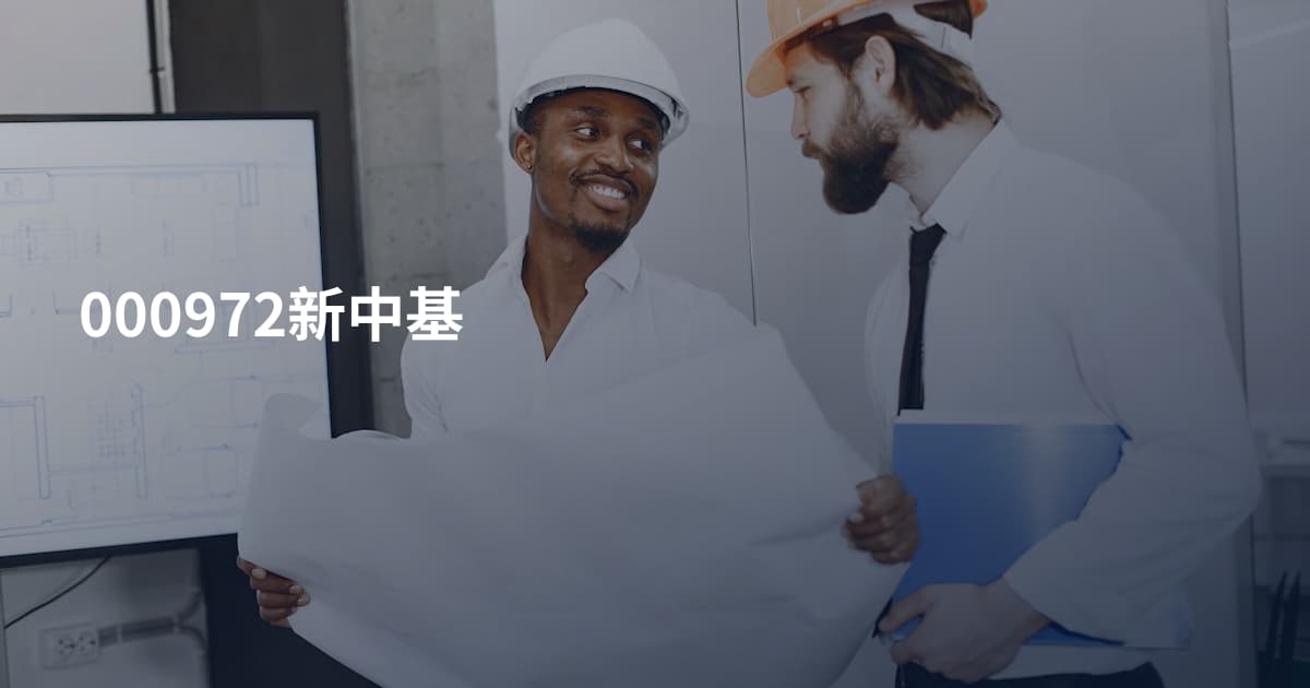 000972新中基