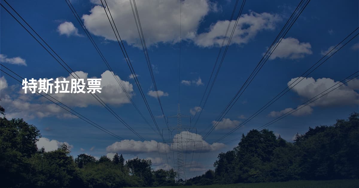 特斯拉股票