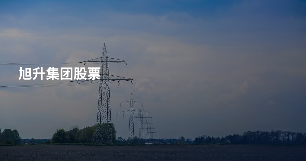 旭升集团股票