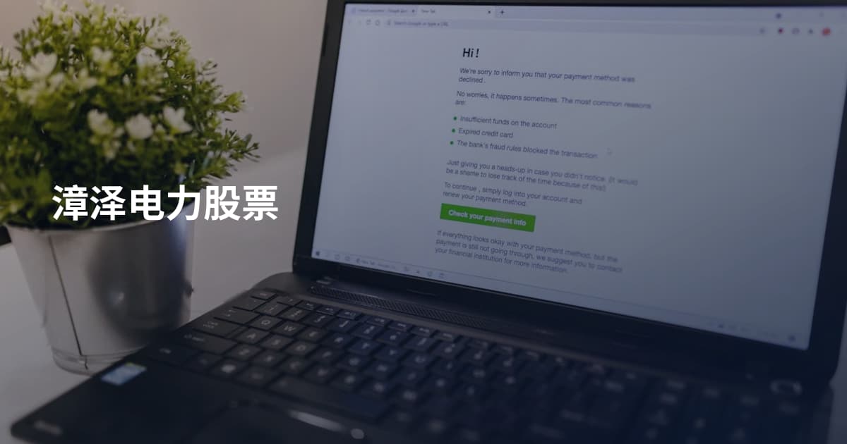 漳泽电力股票