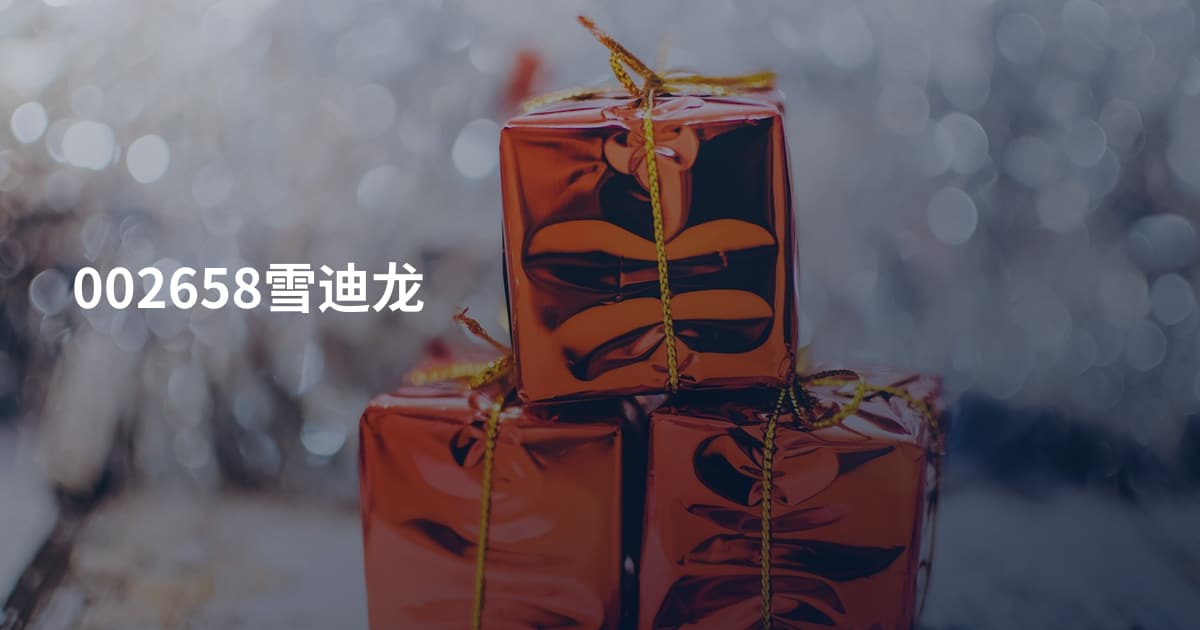 002658雪迪龙