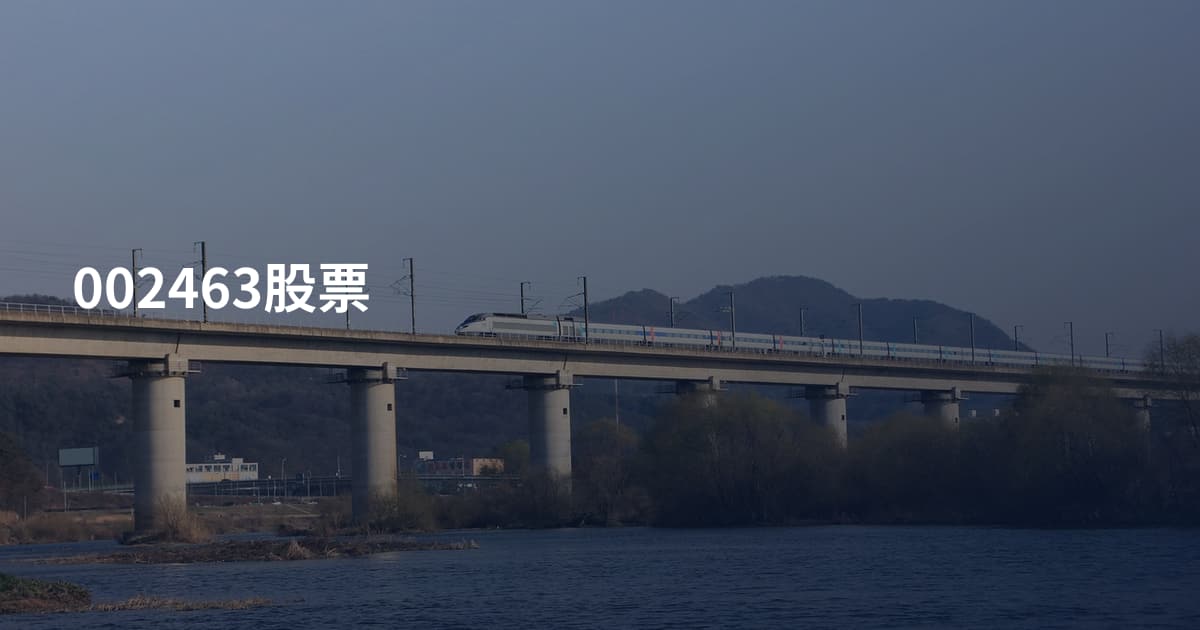 002463股票