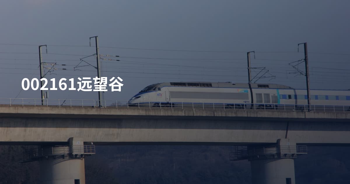002161远望谷