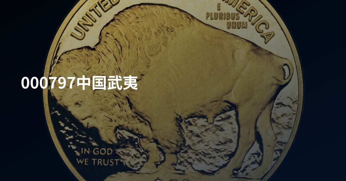 000797中国武夷