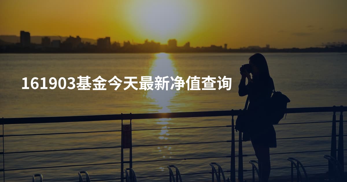 161903基金今天最新净值查询