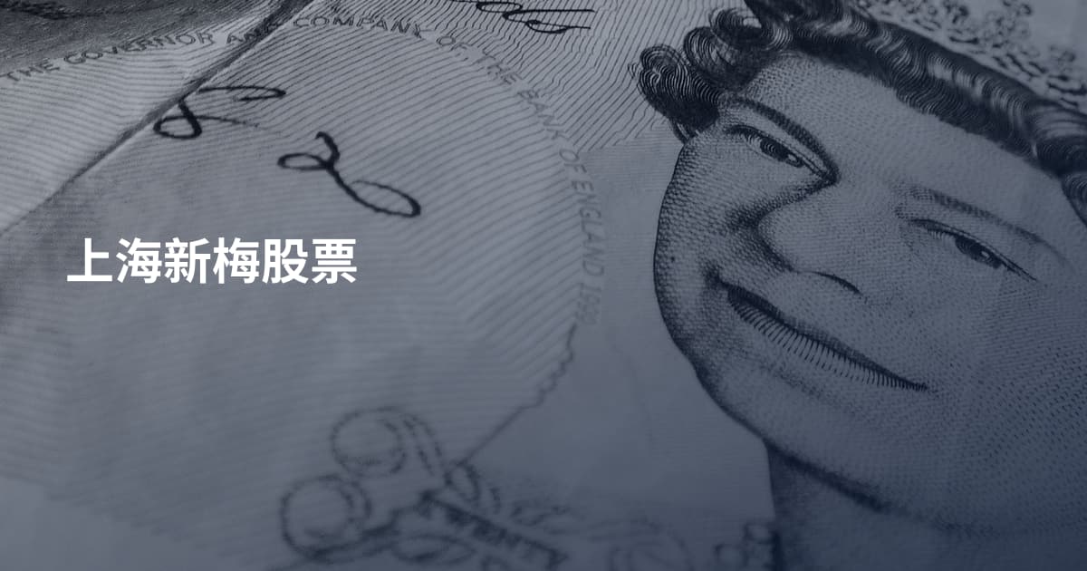 上海新梅股票