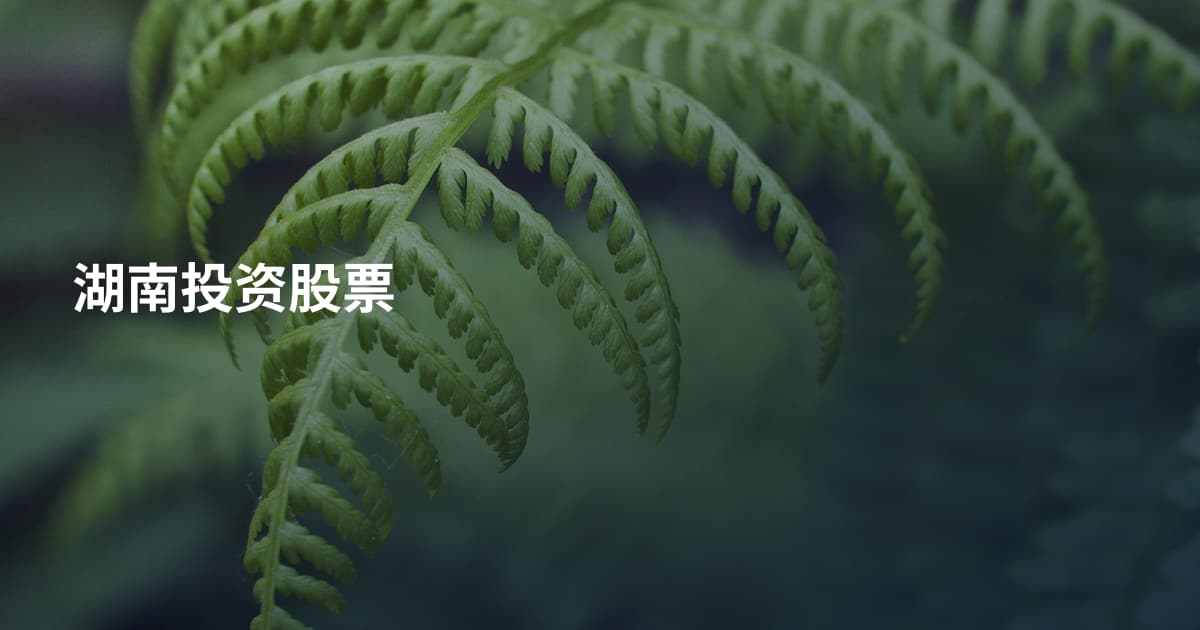 湖南投资股票