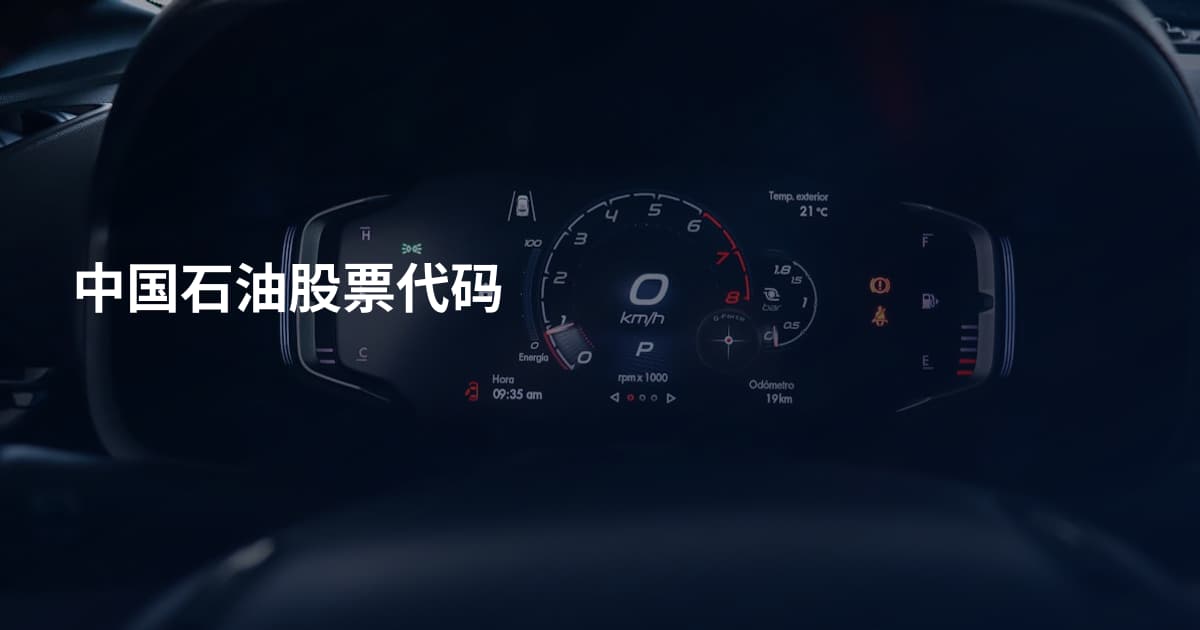 中国石油股票代码