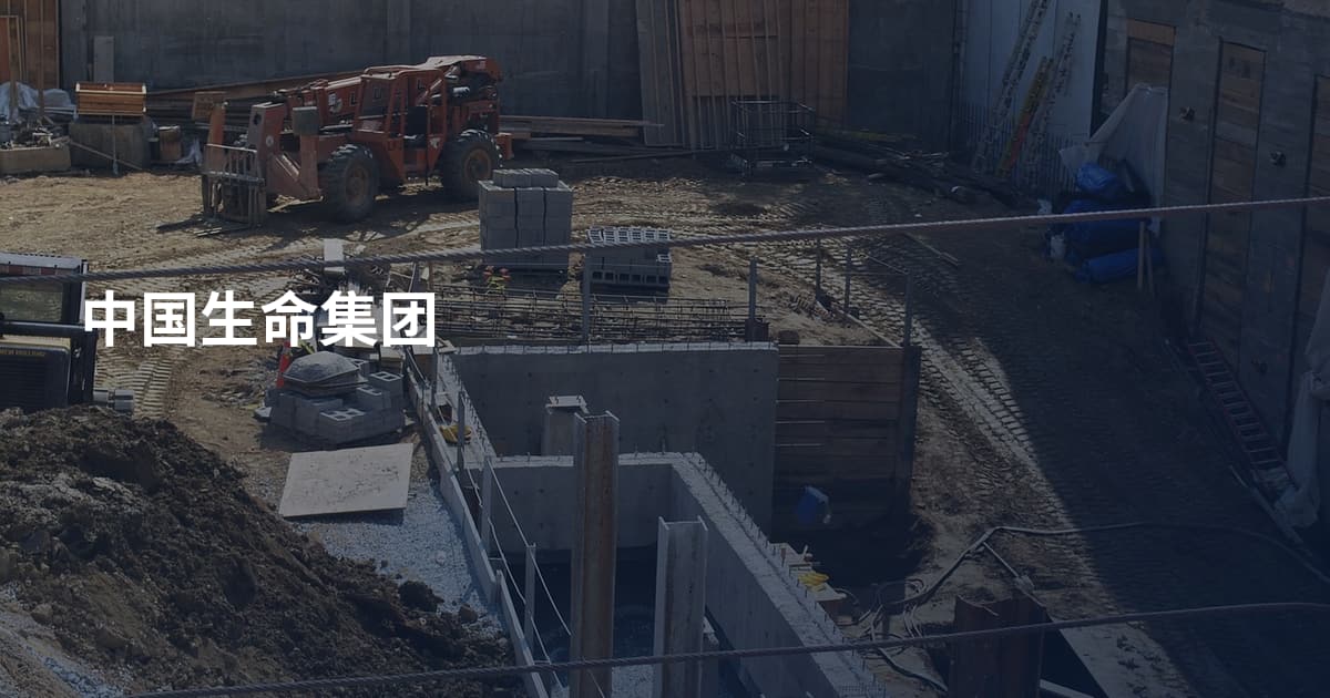 中国生命集团
