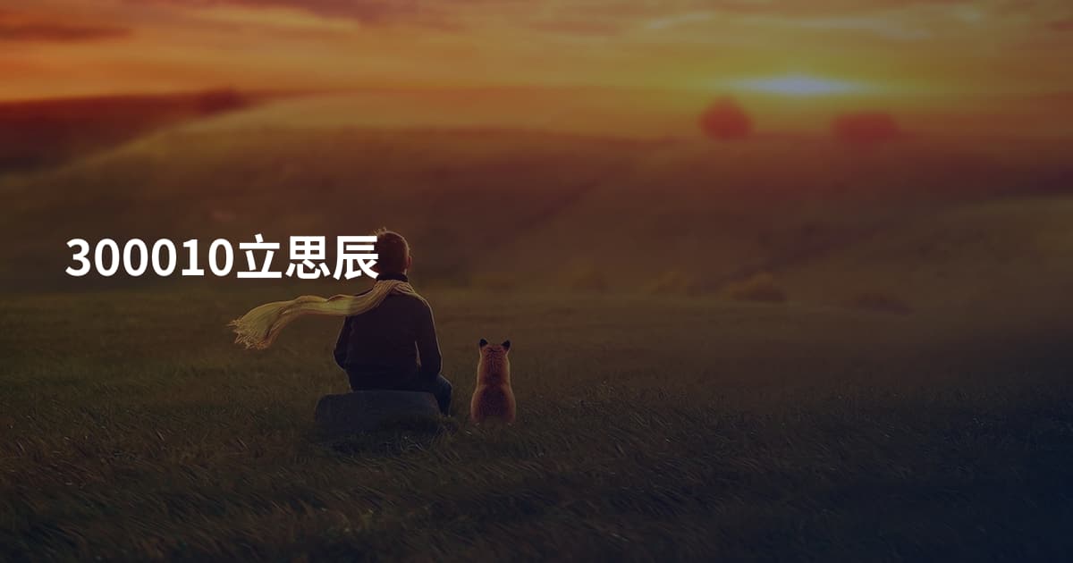 300010立思辰