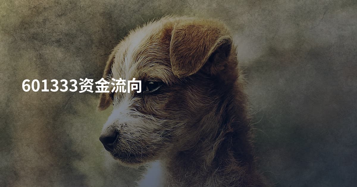 601333资金流向