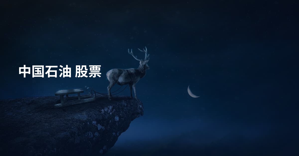 中国石油 股票