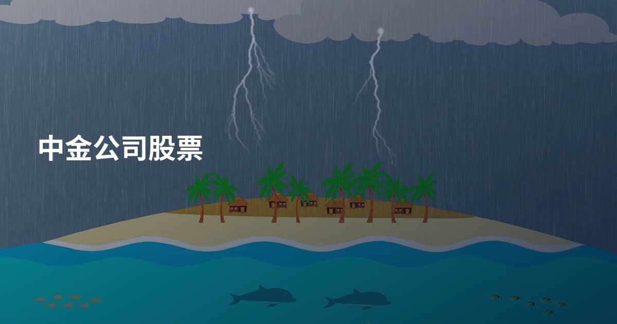 中金公司股票