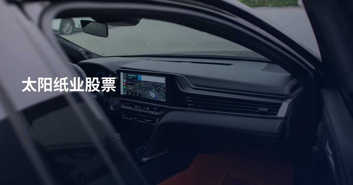 太阳纸业股票