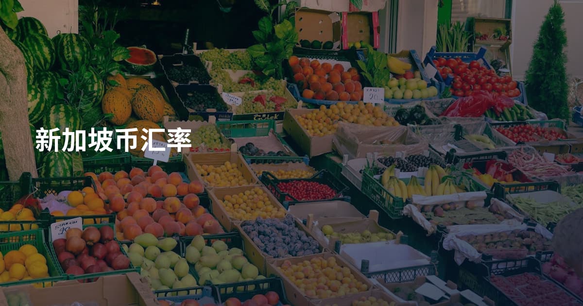 新加坡币汇率