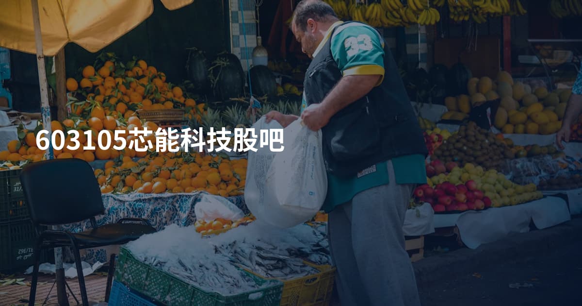 603105芯能科技股吧
