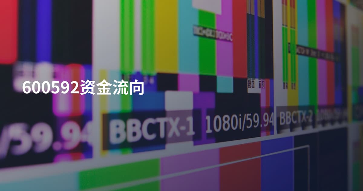 600592资金流向