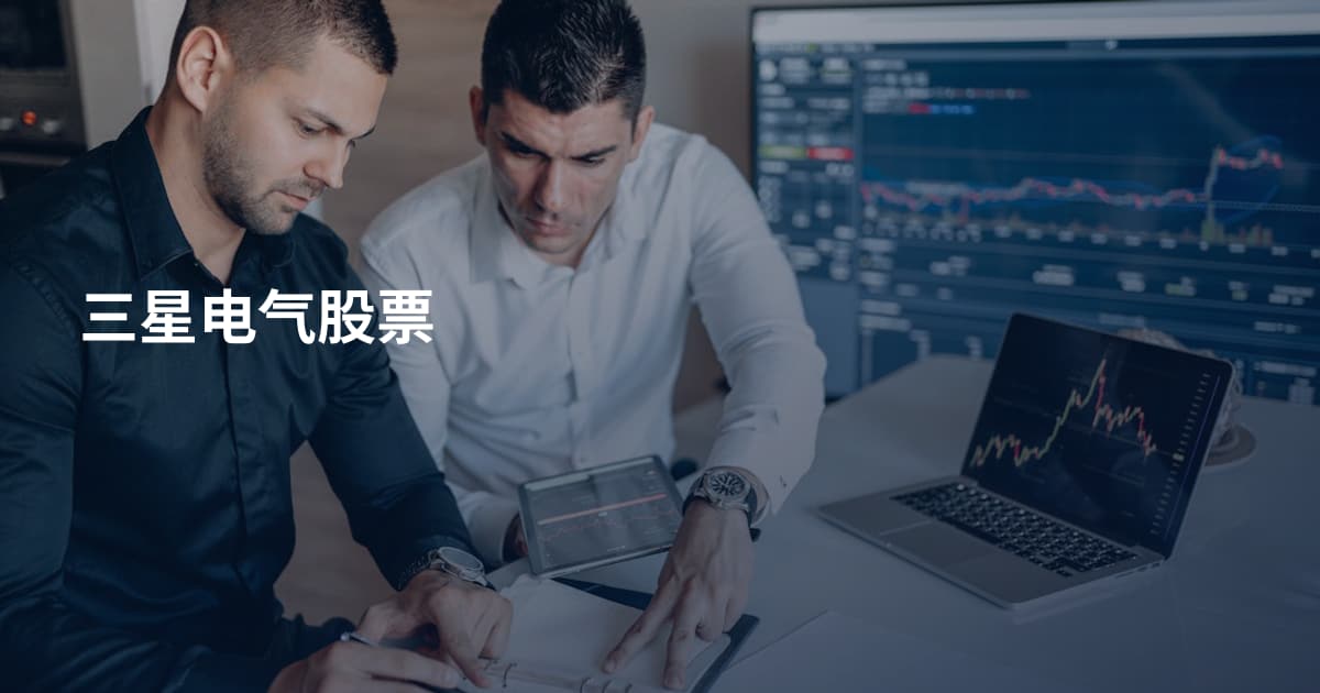 三星电气股票