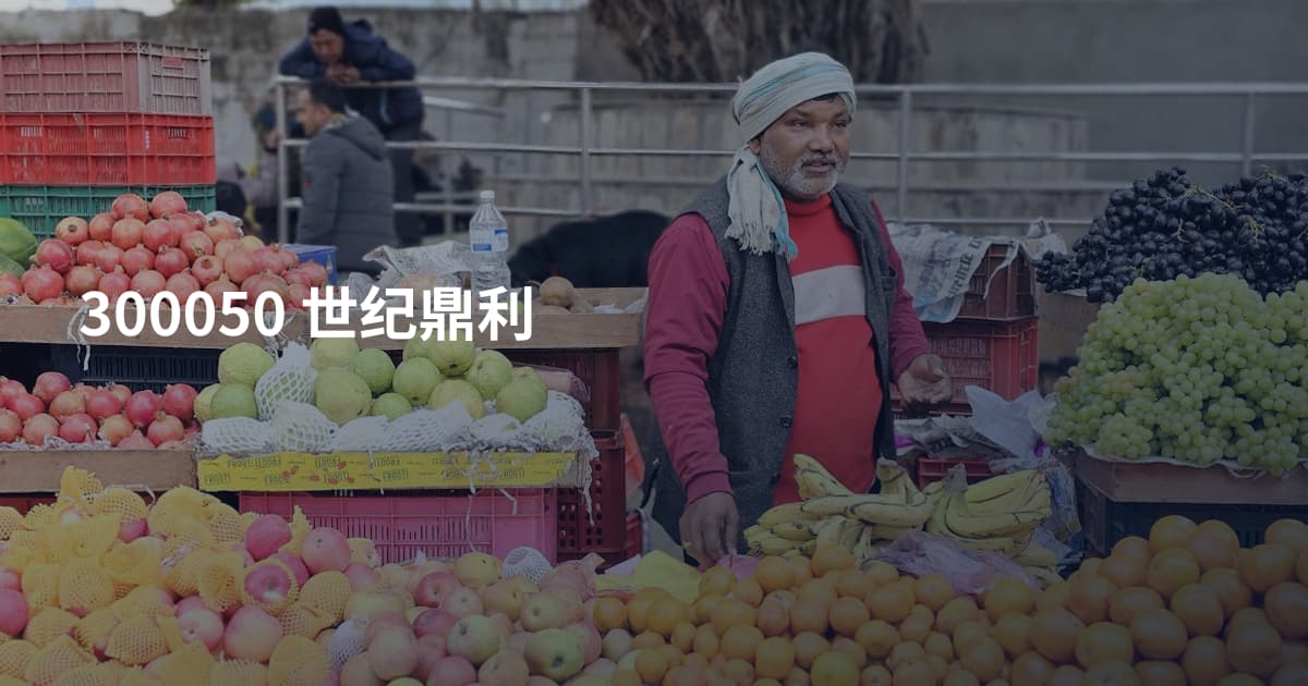 300050 世纪鼎利