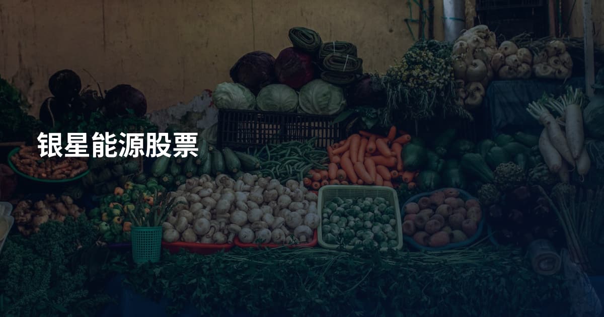 银星能源股票