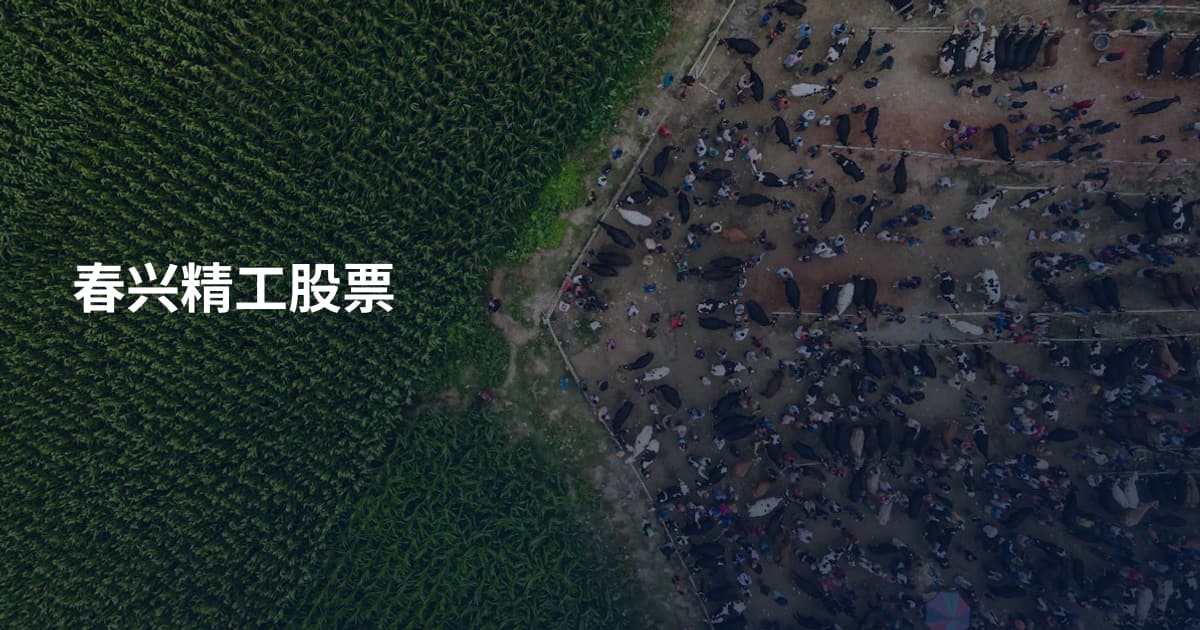 春兴精工股票