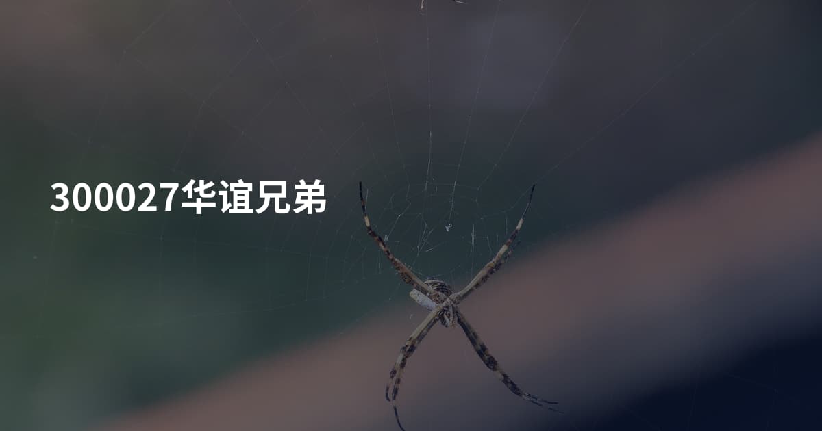 300027华谊兄弟
