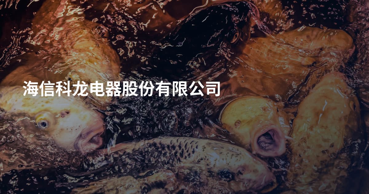 海信科龙电器股份有限公司