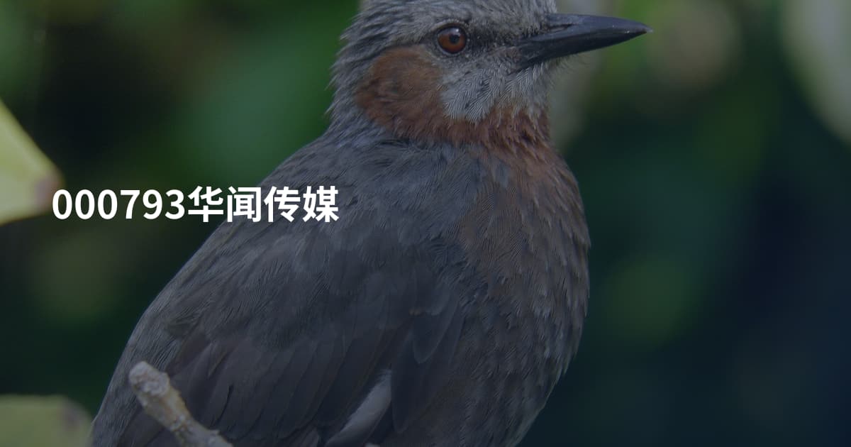 000793华闻传媒