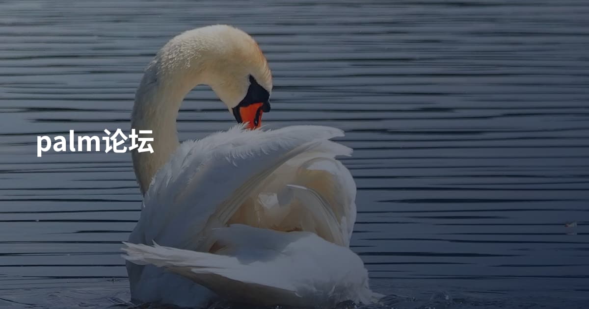 palm论坛